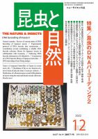 昆虫と自然 12月臨時増刊 表紙