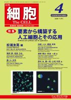 細胞 2022年4月号 表紙