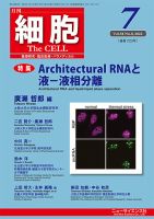 細胞 2022年7月号 表紙
