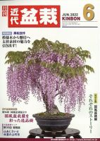 月刊 近代盆栽 2022年6月号 表紙