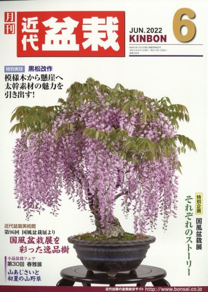 月刊 近代盆栽 2022年6月号 (発売日2022年05月02日) 表紙