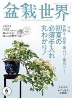 盆栽世界 2022年6月号 表紙