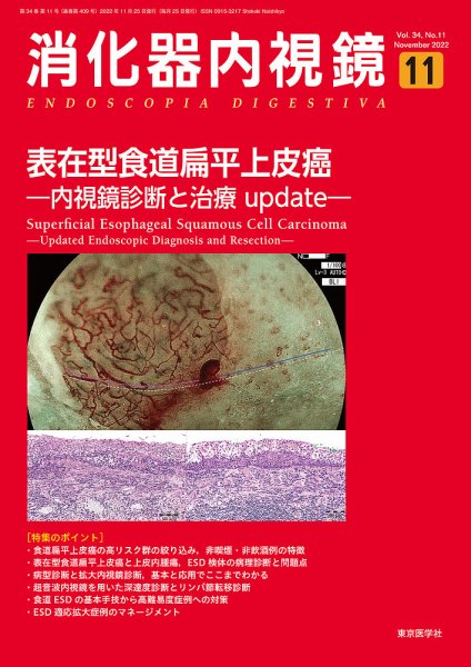 消化器内視鏡 22年11月号 (発売日2023年01月16日) 表紙
