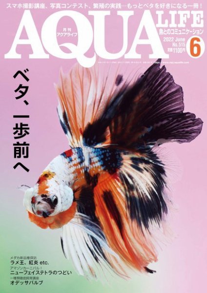 アクアライフ 6月号 (発売日2022年05月11日) 表紙