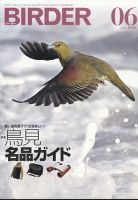 BIRDER（バーダー） 2022年6月号 表紙