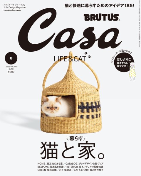 CasaBRUTUS(カーサブルータス) 2022年6月号 (発売日2022年05月09日) 表紙