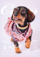 Cuun（クーン） 2022年5月号 (発売日2022年05月10日) 表紙