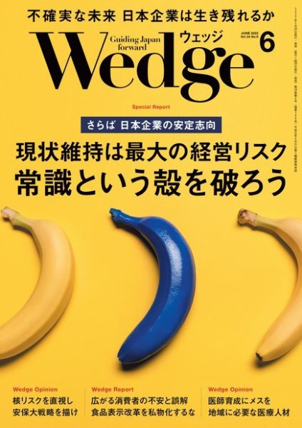 Wedge（ウェッジ） 2022年6月号 (発売日2022年05月19日) 表紙