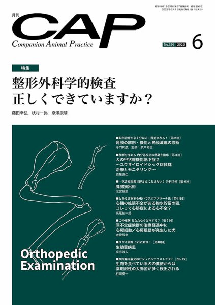 月刊CAP 2022年6月号 (発売日2022年06月01日) 表紙