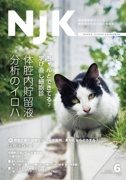 NJK Vol.250 (発売日2022年06月01日) 表紙