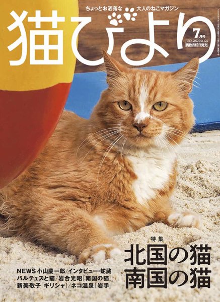 猫びより 猫びより vol.124 (発売日2022年06月10日) 表紙
