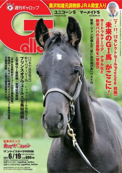 週刊Gallop（ギャロップ） 2022年06月13日発売号 表紙