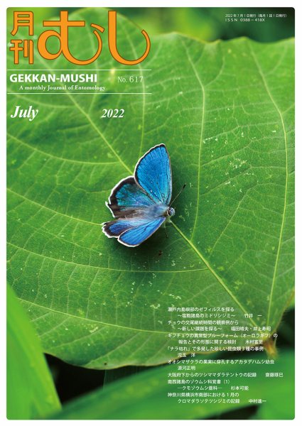 月刊むし 617 (発売日2022年06月24日) 表紙