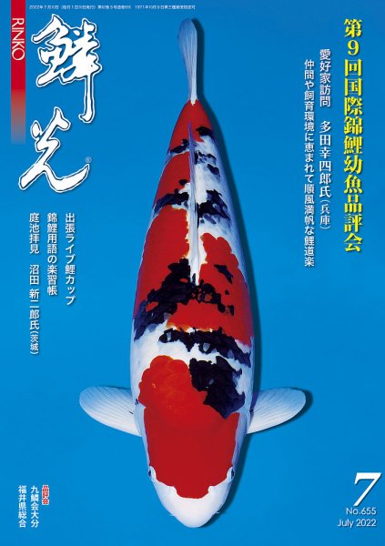 鱗光 2022年06月15日発売号 表紙