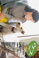ウフ. 200902号 (発売日2009年01月15日) 表紙
