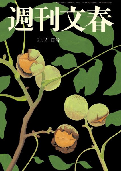 週刊文春 7月21日号 (発売日2022年07月14日) 表紙