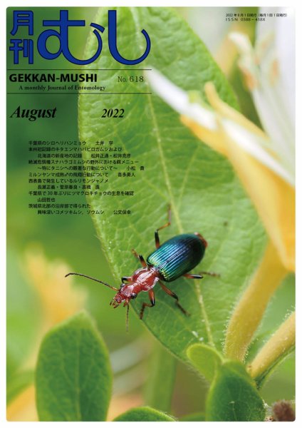 月刊むし 618 (発売日2022年07月20日) 表紙