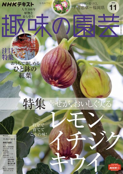 NHK 趣味の園芸 2022年11月号 (発売日2022年10月21日) 表紙