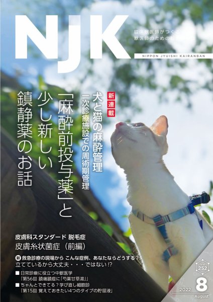 NJK Vol.252 (発売日2022年08月01日) 表紙