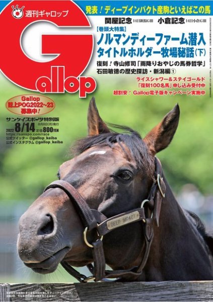 週刊Gallop（ギャロップ） 2022年08月08日発売号 表紙