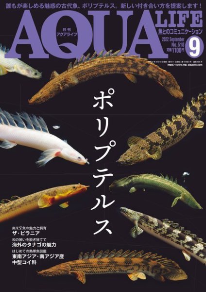 アクアライフ 9月号 (発売日2022年08月10日) 表紙