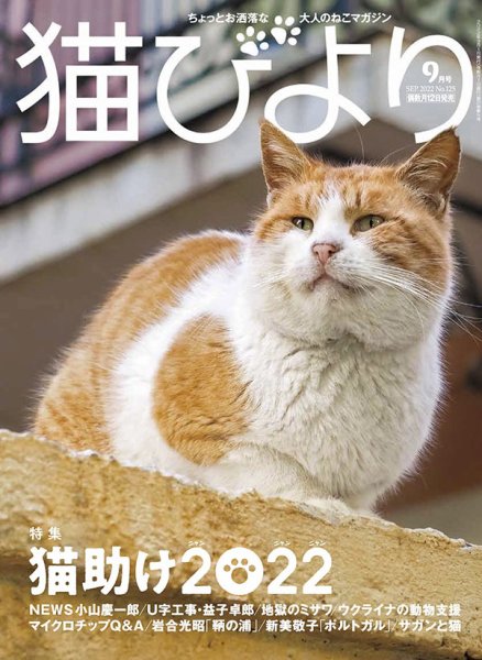 猫びより vol.125 (発売日2022年08月12日) 表紙