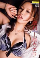 増刊 AV女優シリーズ 2009年02月21日発売号 表紙