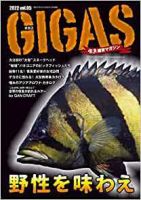 格安新品 GIGAS ギガス 5冊セット - 雑誌