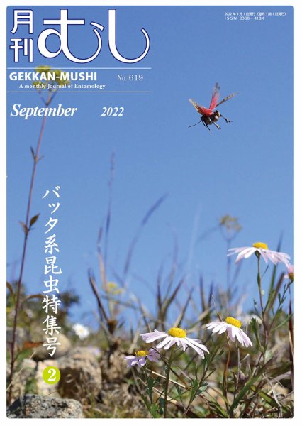 月刊むし 619 (発売日2022年08月24日) 表紙