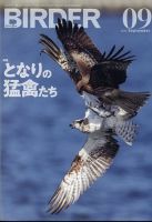 BIRDER（バーダー） 表紙