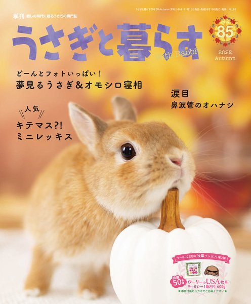 うさぎと暮らす 2022年10月号 (発売日2022年08月19日) 表紙