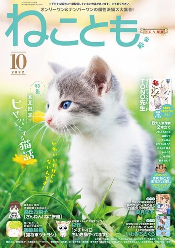 ねこともの最新号 22年10月号 発売日22年08月16日 雑誌 電子書籍 定期購読の予約はfujisan