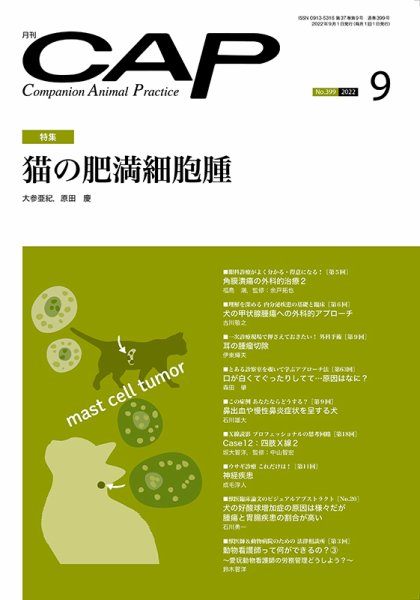 月刊CAP 2022年9月号 (発売日2022年09月01日) 表紙