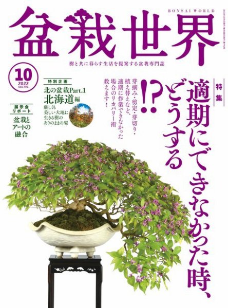 盆栽世界 2022年10月号 (発売日2022年09月02日) 表紙