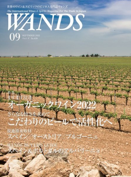 WANDS（ウォンズ） No.439 (発売日2022年09月05日) 表紙