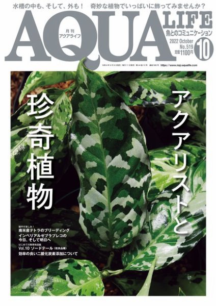 アクアライフ 10月号 (発売日2022年09月09日) 表紙