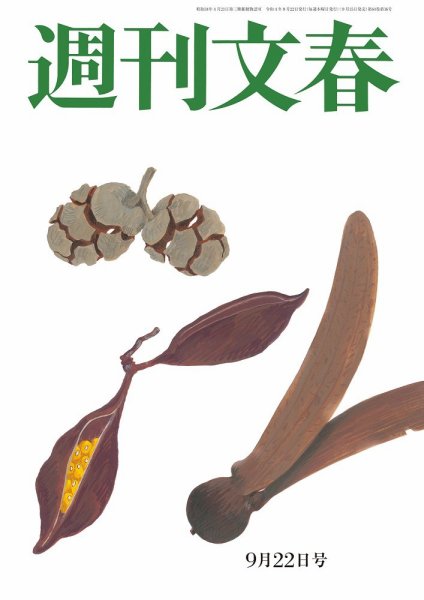 週刊文春 9月22日号 (発売日2022年09月15日) 表紙