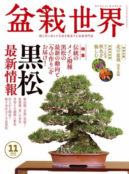 盆栽世界 2022年11月号 (発売日2022年10月04日) 表紙