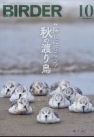 BIRDER（バーダー） 2022年10月号 表紙