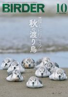 BIRDER（バーダー）のバックナンバー (2ページ目 30件表示) | 雑誌