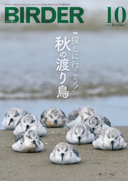 BIRDER（バーダー） 2022年10月号 (発売日2022年09月16日) 表紙