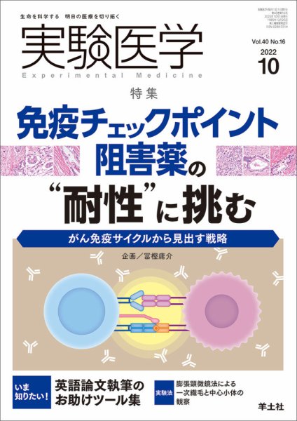 実験医学 Vol.40No.16 (発売日2022年09月20日) 表紙