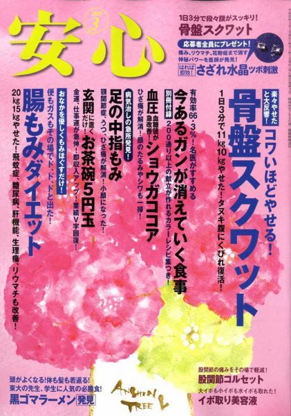 安心 2009年02月02日発売号 表紙