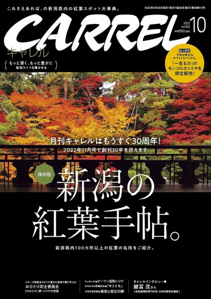 月刊キャレル（CARREL） 2022年10月号 (発売日2022年09月20日) 表紙