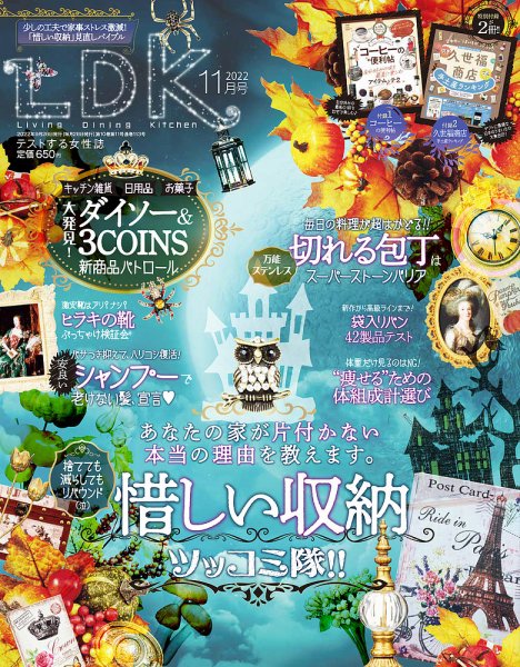 LDK（エル・ディー・ケー） 2022年11月号 (発売日2022年09月28日) 表紙