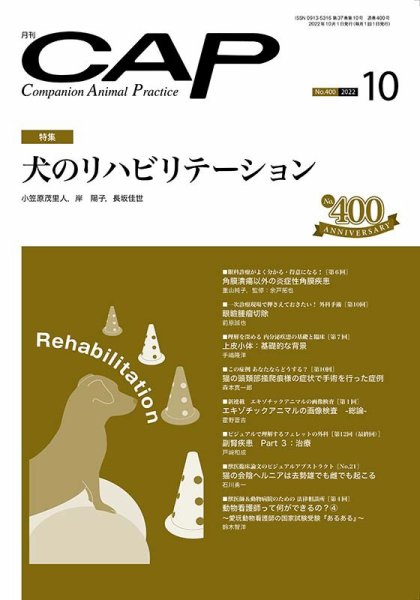 月刊CAP 2022年10月号 (発売日2022年10月01日) 表紙