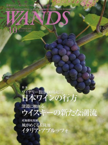 WANDS（ウォンズ） No.440 (発売日2022年10月05日) 表紙