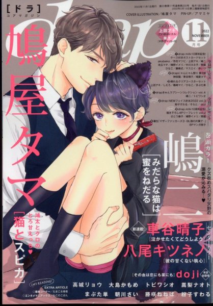 drap（ドラ） 2022年11月号 (発売日2022年09月30日) 表紙