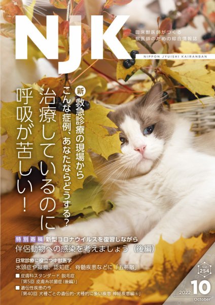 NJK Vol.254 (発売日2022年10月01日) 表紙