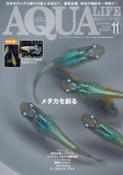 アクアライフ 11月号 (発売日2022年10月11日) | 雑誌/電子書籍/定期購読の予約はFujisan